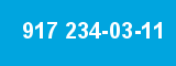 917 234-03-11